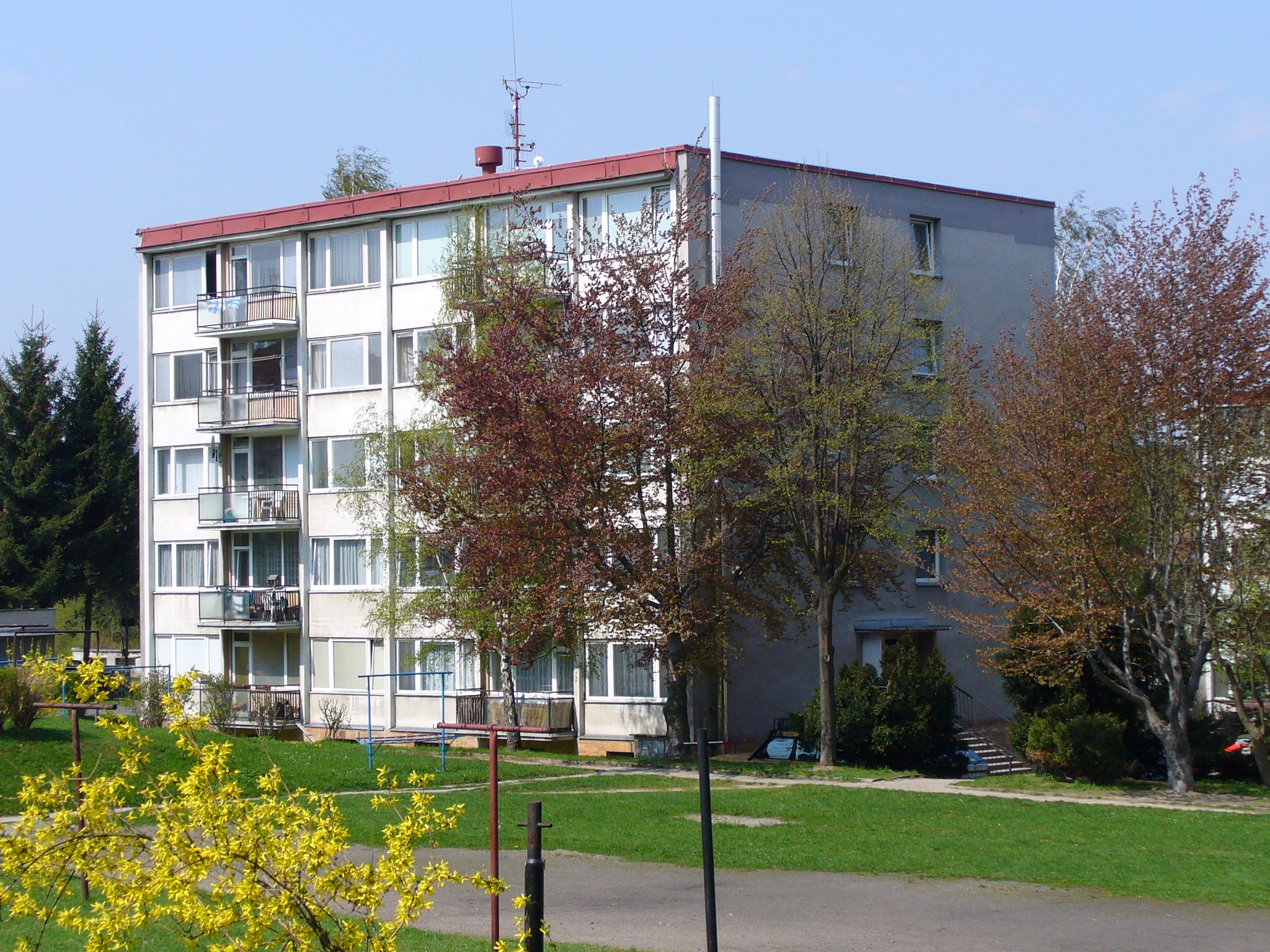 P1000145.JPG